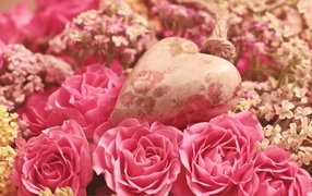 Heart lies on pink rose flowers