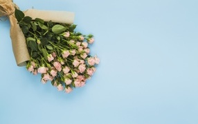 Большой букет розовых роз на голубом фоне