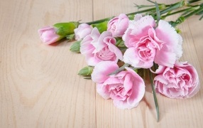 Розовые гвоздики на столе