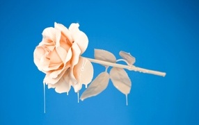 Розовая роза в краске на голубом фоне