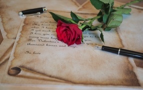 Красная роза с запиской и ручкой на столе