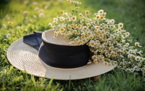 Соломенная шляпа на траве с цветами ромашки