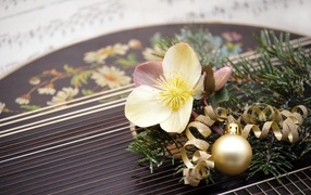 Цветок лежит на музыкальном инструменте