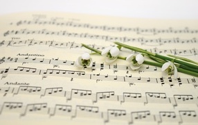 Белые подснежники на нотной тетради
