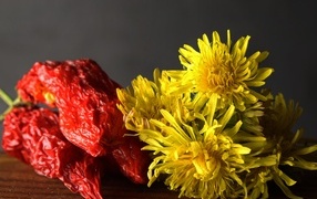 Желтые одуванчики с красным перцем на столе