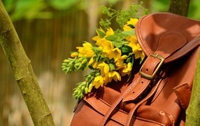 Желтые цветы лежат в кожаном рюкзаке 