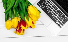 Желтые тюльпаны с ноутбуком на столе
