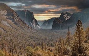Красивый вид на хвойный лес и голы под грозовым небом