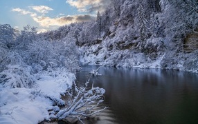 Snow-covered forest by a cold winter river