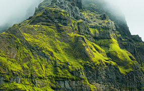 Высокая гора покрыта зеленой растительностью