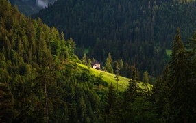 Дом на крутом покрытом лесом горном склоне