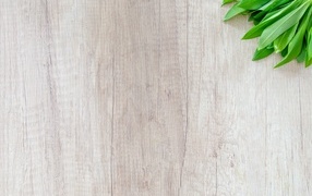 Green leaves on wooden background