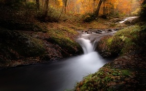 Быстрый холодный ручей в осеннем лесу