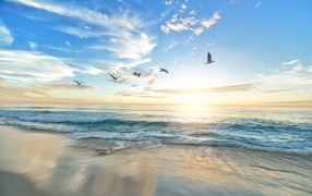 Красивый вид на море летом