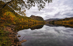 Красивая осенняя природа у озера