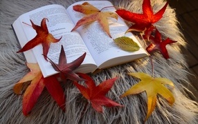 Book with beautiful yellow leaves