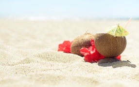 Coconuts on hot sand in summer