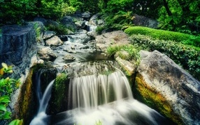 A waterfall flows down the stones of a forest mountain river