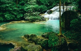 Чистая голубая вода лесного водопада