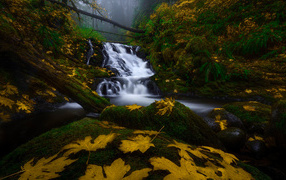 Водопад в лесу осенью
