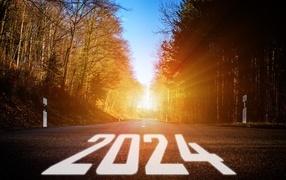 Белые цифры 2024 на дороге в лесу