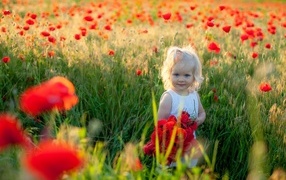 Маленькая голубоглазая девочка на поле с маками