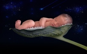 Новорожденный малыш спит на листе лотоса