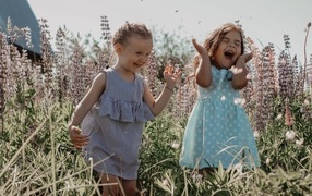Две маленькие веселые девочки на поле с люпинами