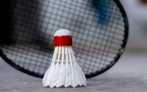 White shuttlecock and badminton racket