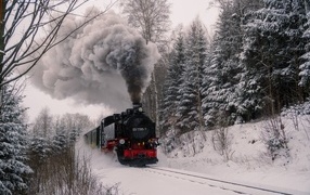 An old steam locomotive rides through a snowy forest