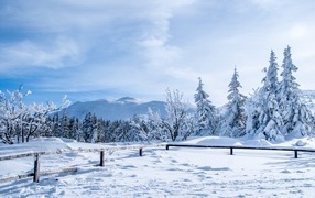 Красивый зимний пейзаж ясным днем