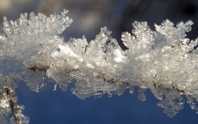 Ледяные кристаллы на проволоке зимой