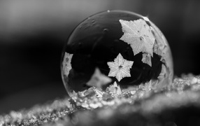 Мыльный пузырь с морозным рисунком на снегу