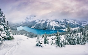 Вид на заснеженные горы, лес и реку