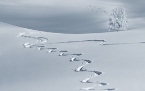Winding path on cold white snow
