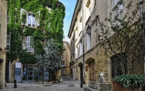 Покрытые зеленой растительностью дома на улице города