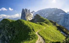 Красивый вид на покрытые зеленью Швейцарские Альпы