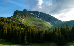 Вид на покрытые растительностью Альпы, Швейцария