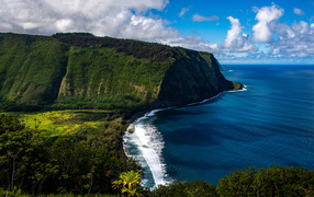 Cliff near the ocean on the island of Hawaii, USA