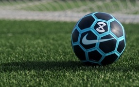 Новый кожаный футбольный мяч на поле