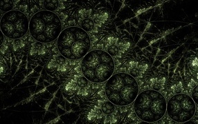 Зеленый растительный узор с кругами