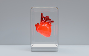 Красное 3д сердце в стеклянной колбе на сером фоне