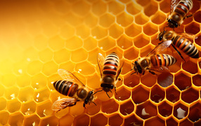 Пчелы сидят на сладких медовых сотах 