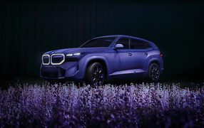 Красивый лавандовый автомобиль BMW XM Mystique Allure