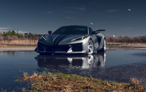 Серебристый Chevy Corvette Z06 стоит в воде