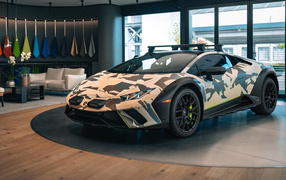 Автомобиль  Lamborghini Huracán Sterrato All-Terrain Ad Personam 2024  года в доме