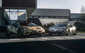 Два автомобиля Lamborghini Huracán Sterrato All-Terrain Ad Personam 2024  года