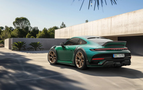 Зеленый автомобиль TechArt GTstreet R Touring вид сзади