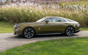Olive Rolls-Royce Specter car near the tall grass