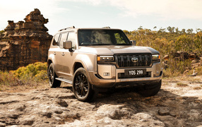 Большой внедорожник Toyota Land Cruiser Kakadu 2024 года